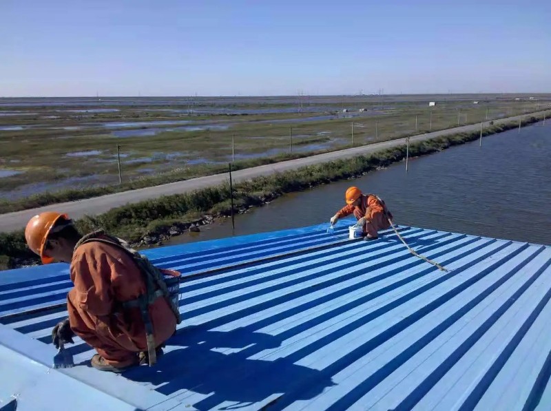 徐州彩钢瓦屋面防腐翻新